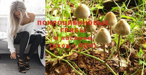 спайс Михайлов